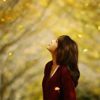 Lam Anh