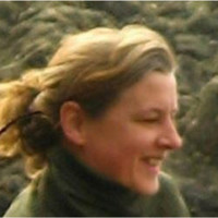 beth lindgren