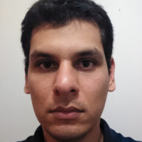 Walter Leandro Dias Olivier Alves