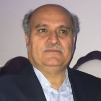 محمد هادي طاهريان