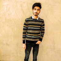 Naveel Ansari