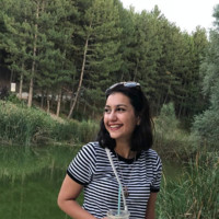 Büşra Ülkü Akgül