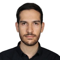 Alireza Mostafavi