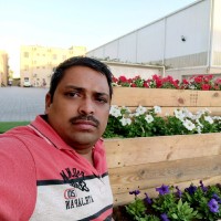 Ravi kumar Pechetti
