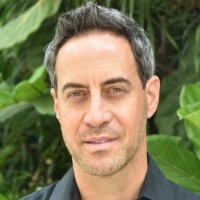 LAWRENCE GRAFSTEIN