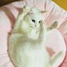 손준배
