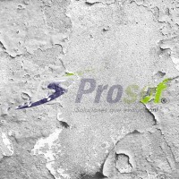 Prosof SAS