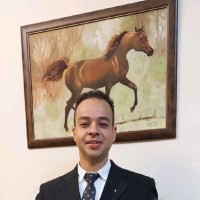 Danilo Honorio ∴