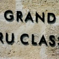 LA CAVE DU ROI ODILONS SARL