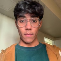 Aryan Bellani
