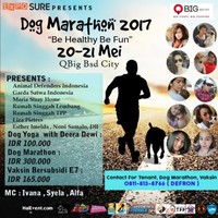 Expo-sure Event  and Exibition