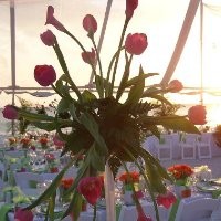 Events Extraordinaire
