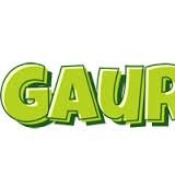 Gaurav Chaudhary