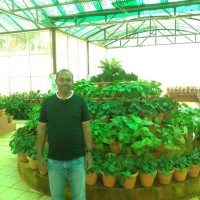 Saravana Kumar