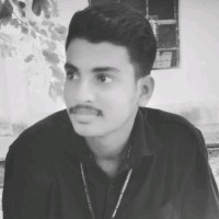 Narayanan R.