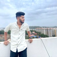 Vinayak Raul