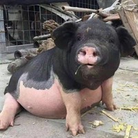 李汝胜