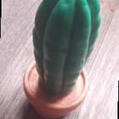 Pedro Dildough