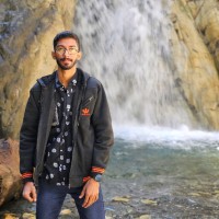 Bipin Krishna. D