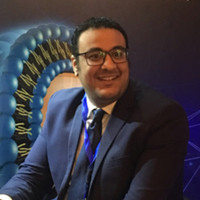 Abdelaziz Mohamed Fahmy