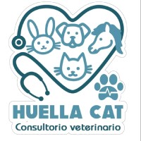Chus Á.