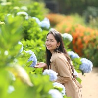 Trần Thị Phương Loan