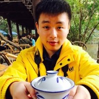 Tianyi Tan
