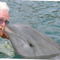 Bill Sermon
