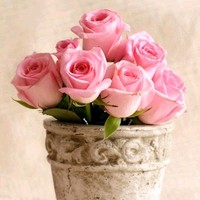 Asmaa Seif