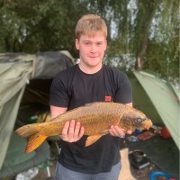 Dane Gillingham