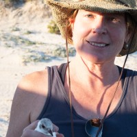 Anne Mcmillan