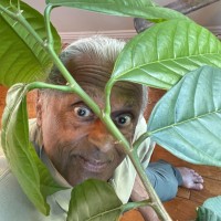 Bhaskarpillai Gopinath