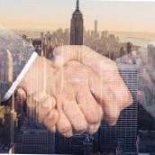 Business Consultant