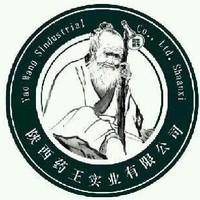 王选民