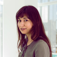 Iriny Amerssonis