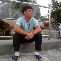 Haqiboy Roses