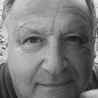 stuart segel