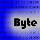 BYTE IDEAS AND SOLUTIONS LLC