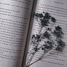 Ashley Bazán Books