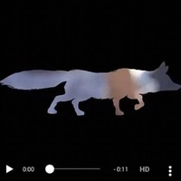 Anthony Fox