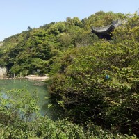 张桂英
