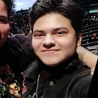 Gerson N. Garcia
