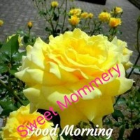 Lakhwinder Singh Singh