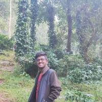 A V N S Krishna