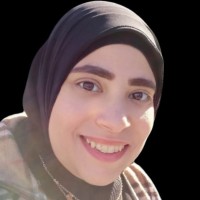 Mona Hussein