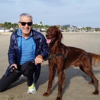 Corrado Viani