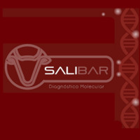 SALI-bar Diagnóstico Molecular para Preñez Bovina