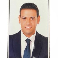 Mohamed Hesham Salah Elden