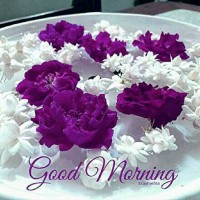 Bashir Ssyyad