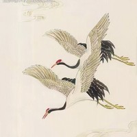 云野鹤